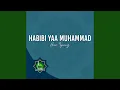 Download Lagu HABIBI YAA MUHAMMAD