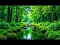 Download Lagu Melodic Bliss | Serene Melodies - Official MV