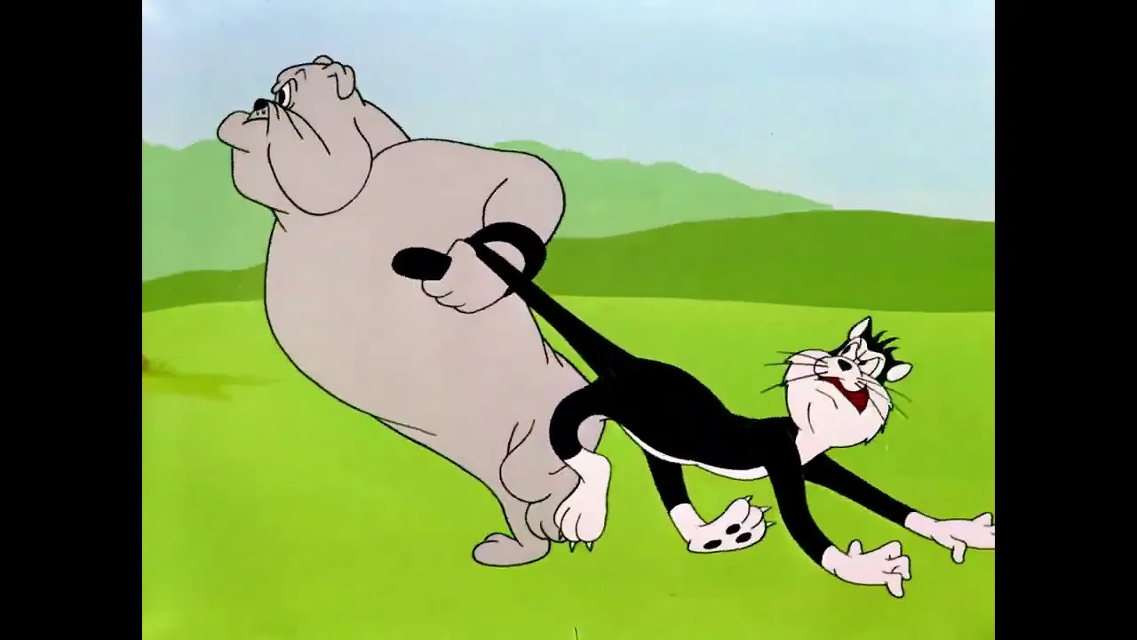 Looney Tunes  - É Tempo de Beija-Flores