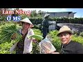 Lang Nguoi Viet Lau Doi Co Hon 1 000 Ho O Lousiana