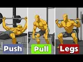 Ultimate Push Pull Legs Workout Plan to Gain Muscle Fast