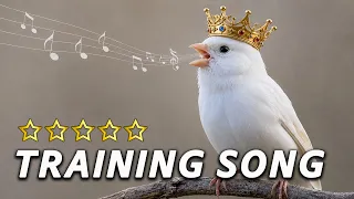 White KING Canary Singing - 12h The Best Training Song Ever