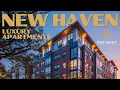 Luxury Apartments in the Heart of New Haven CT - The Whit Apartments