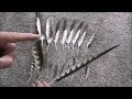 Feather ID 1 Anatomy
