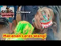 Lagu Macanan | Jaranan Laras Wangi Songgon - Banyuwangi | Live Sidowangi