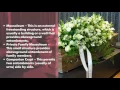 Funeral Services by McDougal Funeral Home