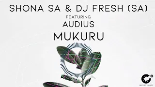 shona sa u0026 dj fresh sa feat audius mukuru cdr039 