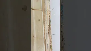 هات ايديك ترتاح للمستهم ايديا Dance 