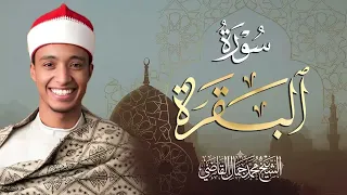                                                                                            دندنها