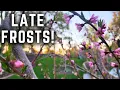 The Problem with Last Frost Dates Cold Climate Gardening Challenges