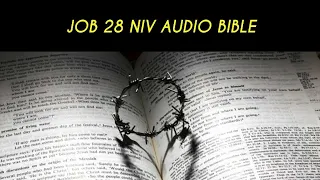 JOB 28 NIV BIBLE
