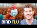 Doctor explains Bird Flu Avian Flu H5N1 Causes symptoms treatment