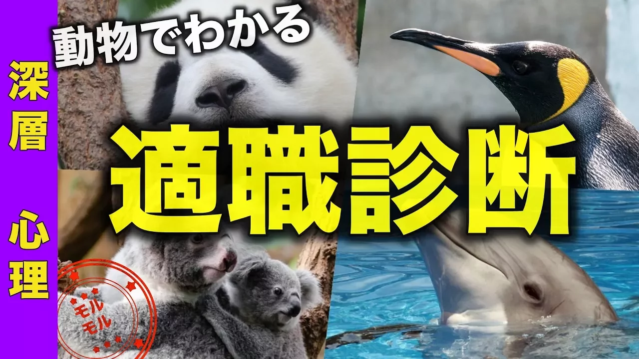 転職活動に役立つ心理テストまとめ。適職診断も
