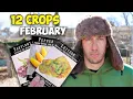 12 Crops You d Be Foolish Not to Plant in February