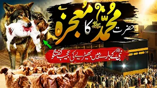 Miracle of Wolf Talking about Prophet | Islamic Stories | SajoO TV