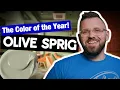The 2022 COLOR OF THE YEAR PPG Paints Olive Sprig Color Review
