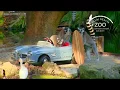 Palm Beach Zoo TripAdvisor 2017 Certificate of Excellence