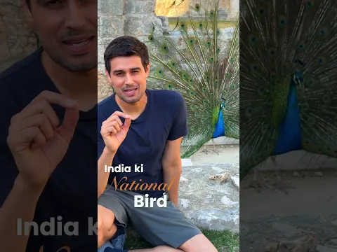 Unbelievable Facts about India's National Bird! 🇮🇳 #dhruvrathee