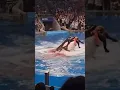 orca kills his own trainer