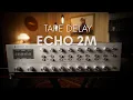 Lagu ECHO 2M Vintage Analog Stereo TAPE Delay Reverb USSR Soviet Space