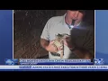 CBS NC crew Orange County Jail s rescue kitten after morning live shot
