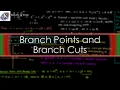 Introducing Branch Points and Branch Cuts Complex Variables