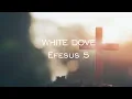 Download Lagu White Dove - Efesus 5