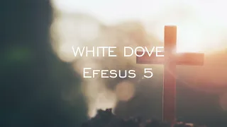 Download White Dove - Efesus 5 MP3