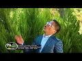 Download Lagu Isaias Calel 2018 / Dulce Melodía