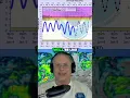 Big flooding in Charleston South Carolina forecast