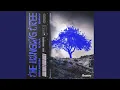 Download Lagu The Hanging Tree