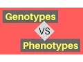 Genotype vs Phenotype Understanding Alleles
