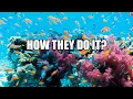 How do fish reproduce Explained