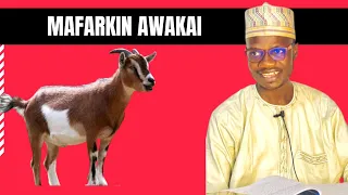 mafarkin awakai