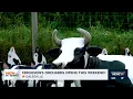 Ferguson s Apple Orchard Opens This Weekend