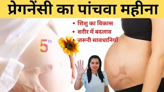 pregnancy 5th month exercises u0026 diet tips my pregnancy care