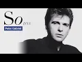 Peter Gabriel - Big Time (DNA Version)
