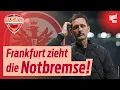 Lagu Eintracht Frankfurt: Toppmöller weg – übernimmt ER jetzt in Frankfurt? | BILD Sport TV