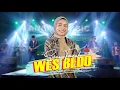 Suci Tacik - Wes Bedo (Official Music Video ANEKA SAFARI)