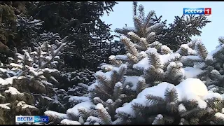 «Вести Омск», утренний эфир от 13 января 2022 года
