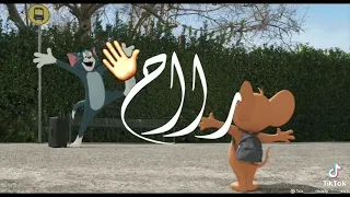 وده حبل الود باش حبيبي راح  مجاش حالات واتس دندنها