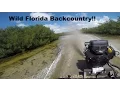 Download Lagu Wild Florida Mud Buddy Adventure