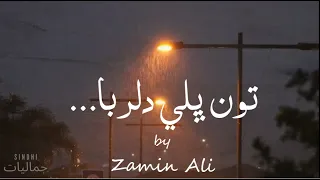 tun bhali dilruba zamin ali ustad bukhari sindhi aesthetics 