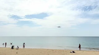                              دندنها