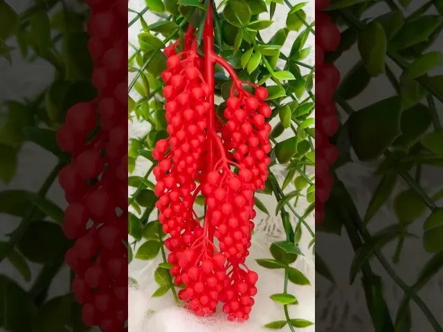Holly Berry Branches video thumbnail