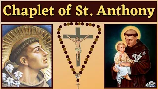chaplet of st anthony of padua for 13 petitions u0026 favors 