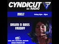 Lagu DnB Friday on Cyndicut radio with DJ Melt Feb. 13, 2026 #dnb#drumandbass#jungle#junglednb #femaledj