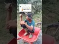 Download Lagu Pantun janda ala pelangi pelangi #pantunjanda #dangdut #shorts #asik #joget #koplo #cover