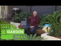 How to Create a GORGEOUS Courtyard Garden When You Have Limited Space GARDEN Great Home Ideas