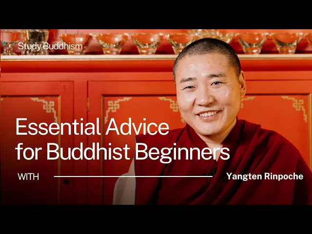 How to Study Buddhism the Right Way (Essential Advice for Beginners) | Yangten Rinpoche